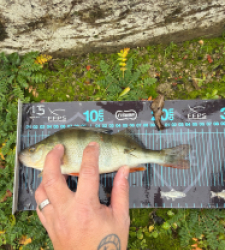 photo prise 52705 par Crazy Fish