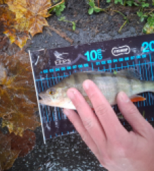 photo prise 52706 par mael.ernst