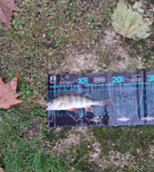 photo prise 52708 par gege10