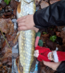 photo prise 52710 par Rico