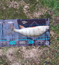 photo prise 52711 par gege10