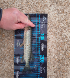 photo prise 52712 par JEAN RENE DENNETIERE