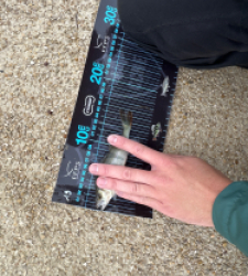 photo prise 52713 par ANTOINE DUBUC