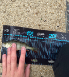 photo prise 52715 par ANTOINE DUBUC