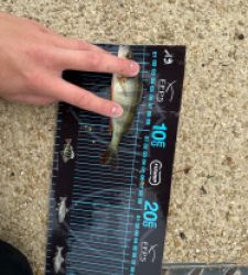 photo prise 52716 par ANTOINE DUBUC