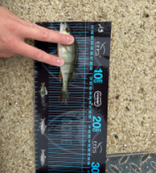 photo prise 52717 par ANTOINE DUBUC