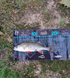 photo prise 52718 par gege10