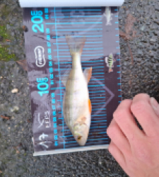 photo prise 52720 par mael.ernst