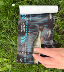 photo prise 52721 par Guillaume vidal