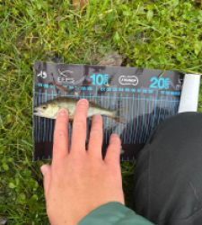 photo prise 52722 par ANTOINE DUBUC