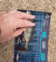 photo prise 52723 par JEAN RENE DENNETIERE