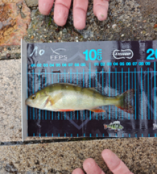 photo prise 52724 par drouard.ludovic6