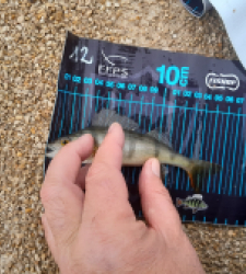 photo prise 52725 par JEAN RENE DENNETIERE