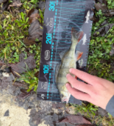 photo prise 52726 par Guillaume vidal