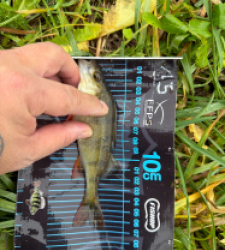 photo prise 52727 par Crazy Fish