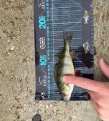 photo prise 52728 par Guillaume vidal