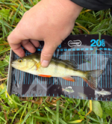 photo prise 52730 par Crazy Fish