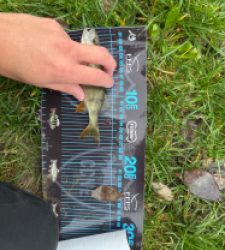 photo prise 52731 par ANTOINE DUBUC