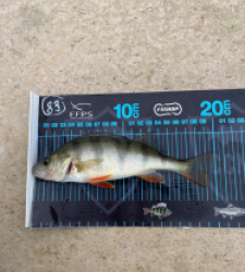 photo prise 52732 par 