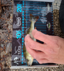 photo prise 52734 par mael.ernst