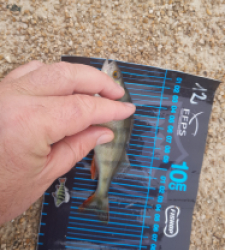 photo prise 52735 par JEAN RENE DENNETIERE