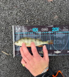 photo prise 52736 par 