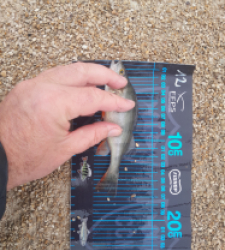 photo prise 52737 par JEAN RENE DENNETIERE