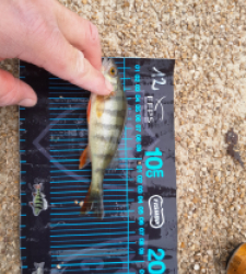 photo prise 52738 par JEAN RENE DENNETIERE