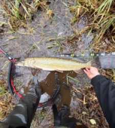 photo prise 52739 par leopold.dubiez1