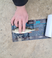 photo prise 52742 par gege10