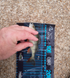 photo prise 52744 par JEAN RENE DENNETIERE