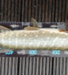 photo prise 52745 par Lucas