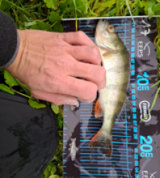 photo prise 52746 par mael.ernst