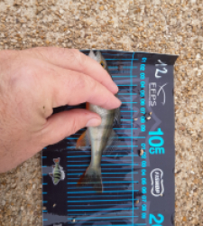 photo prise 52747 par JEAN RENE DENNETIERE