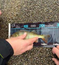 photo prise 52748 par Crazy Fish