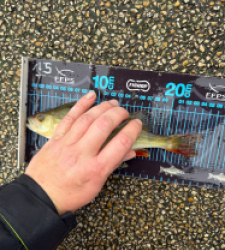 photo prise 52749 par Crazy Fish