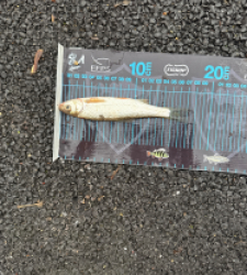 photo prise 52751 par 