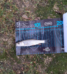 photo prise 52753 par gege10