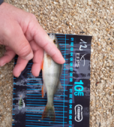 photo prise 52754 par JEAN RENE DENNETIERE