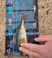 photo prise 52756 par JEAN RENE DENNETIERE