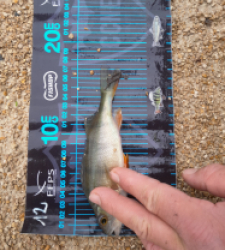 photo prise 52757 par JEAN RENE DENNETIERE