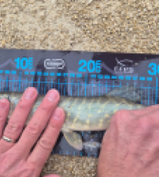 photo prise 52758 par 