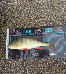 photo prise 52760 par Crazy Fish