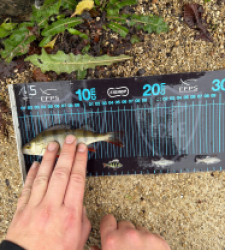 photo prise 52762 par Crazy Fish