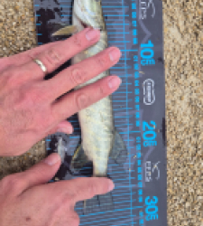 photo prise 52764 par 