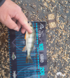 photo prise 52765 par JEAN RENE DENNETIERE