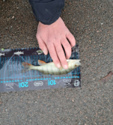 photo prise 52766 par gege10