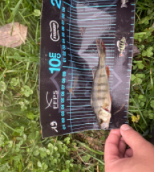 photo prise 52767 par ANTOINE DUBUC