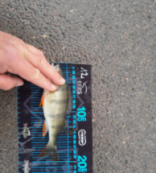 photo prise 52769 par JEAN RENE DENNETIERE