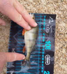 photo prise 52770 par JEAN RENE DENNETIERE